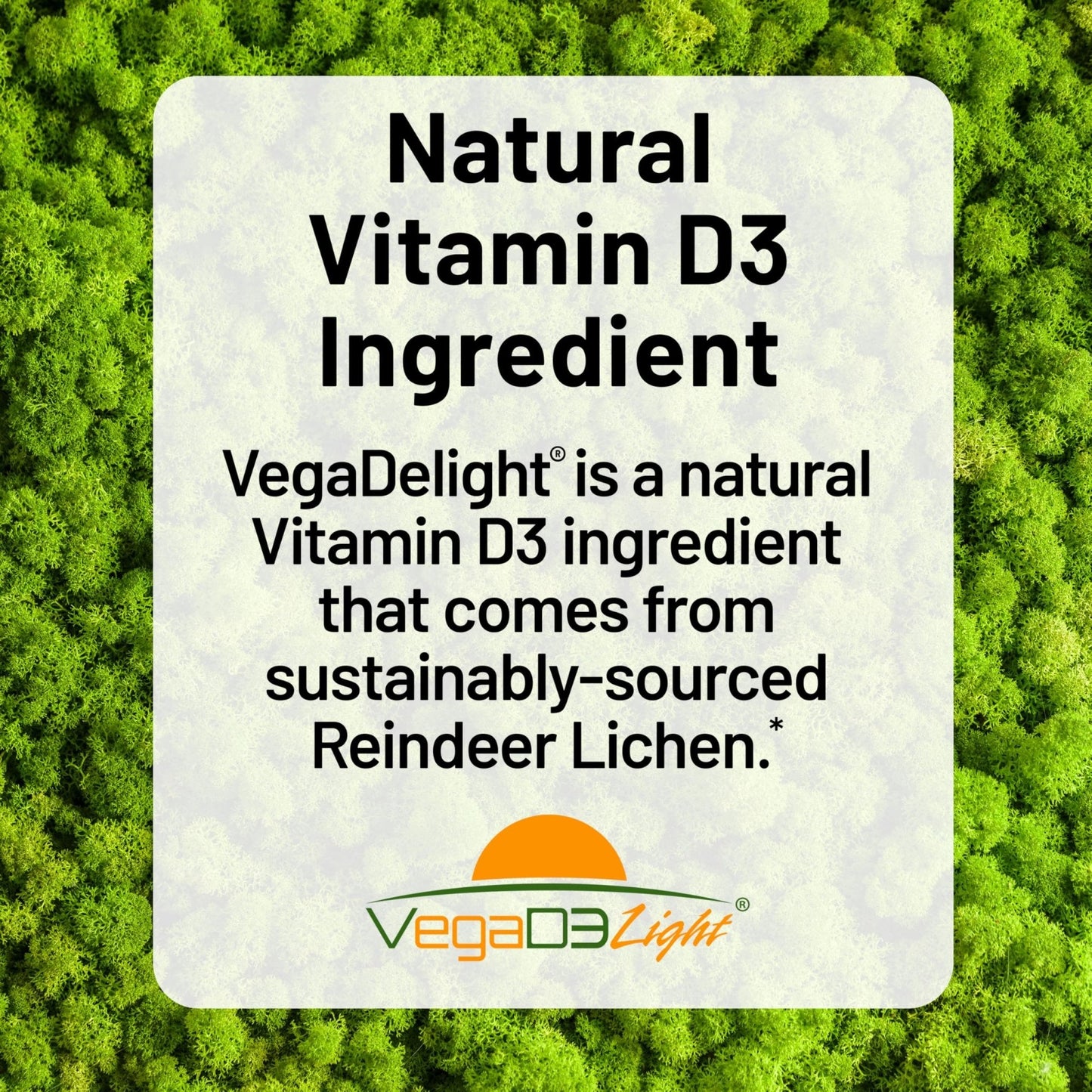 NatureWise Vegan Vitamin D3 + K2 - Natural D3 5000IU + Natural Vitamin K2 100mcg - Bone Support - High Absorption - Maple Wellness Supplements