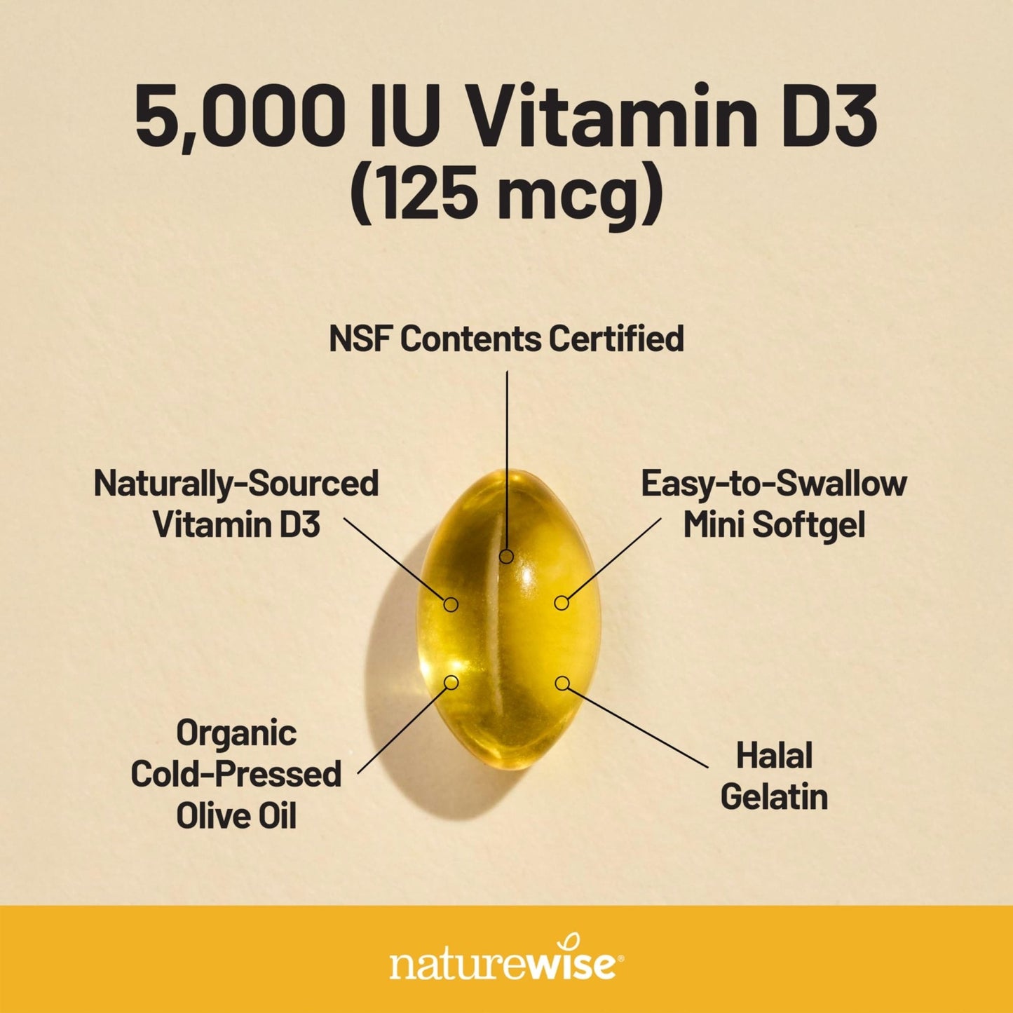 NatureWise Vitamin D3 5000iu (125 mcg) 1 Year Supply for Immune Support, Healthy Muscle Function, and Bone Health - Non-GMO - Maple Wellness Supplements