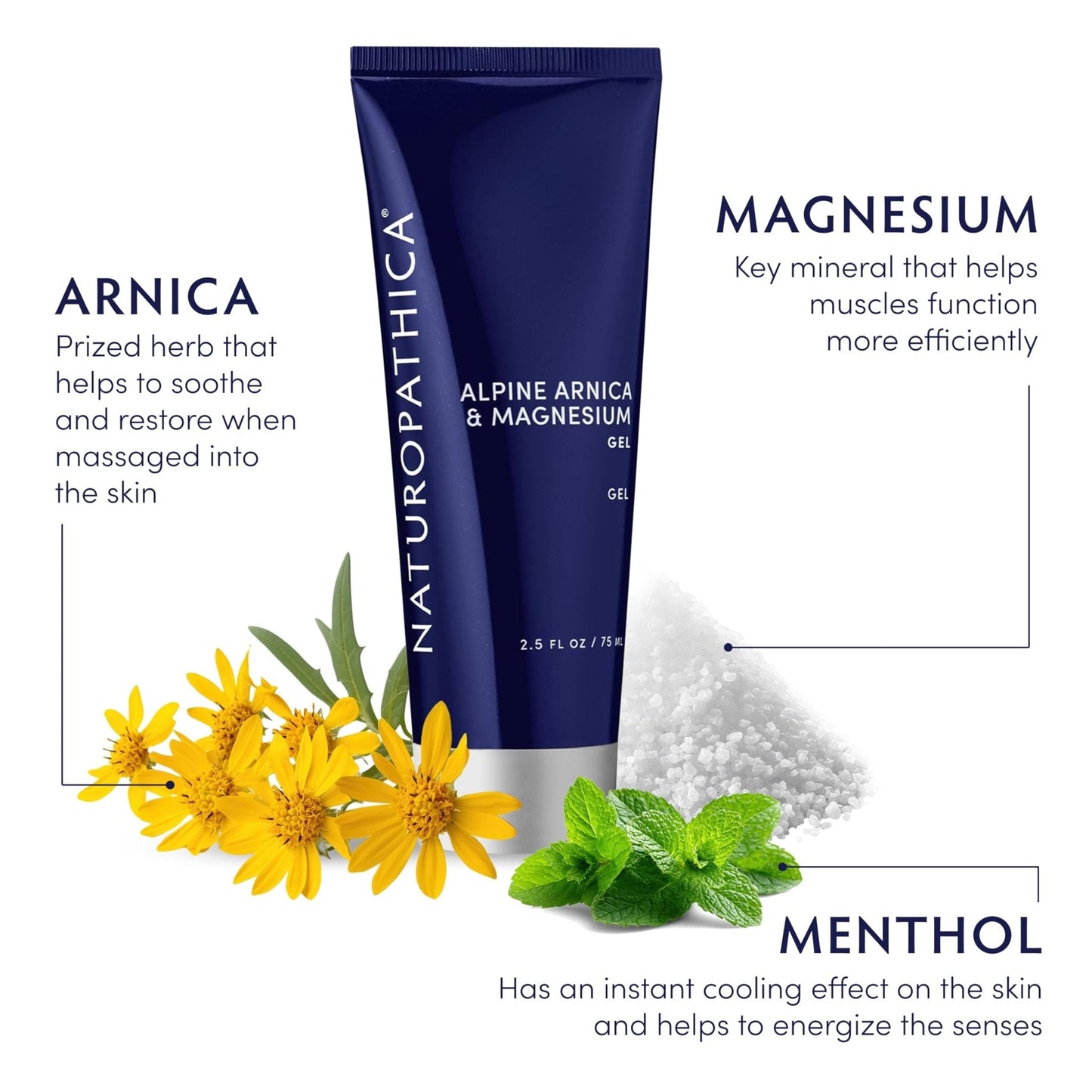 Naturopathica Alpine Arnica & Magnesium Gel, Cooling Massage Gel with Menthol for Muscle Discomfort and Relaxation, 2.5 fl oz - Maple Wellness Supplements