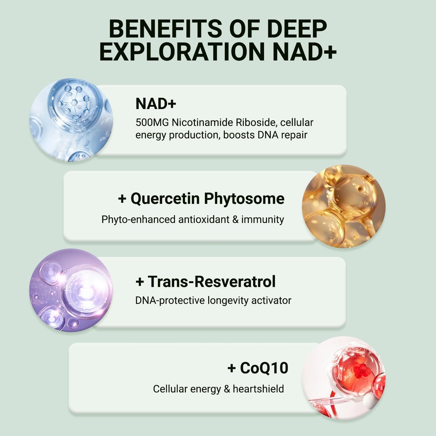 Ncduyde NAD+ Supplement, Liposomal NAD Nicotinamide Riboside Resveratrol 1500 mg - Anti-Aging & Brain Health, Improve Energy - Maple Wellness Supplements