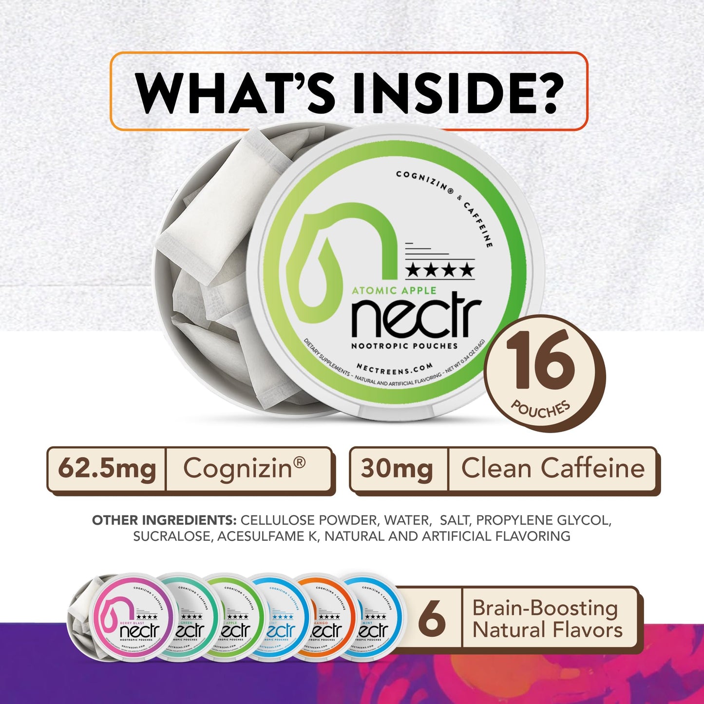 Nectr Energy Nootropic Pouches – Berry Blast Flavored, Caffeine Pouches with Cognizin® Citicoline. Sugar-Free Brain Treats. Smooth, Sustained Focus & Energy Supplement - 1 Puck of 16pcs - Maple Wellness Supplements