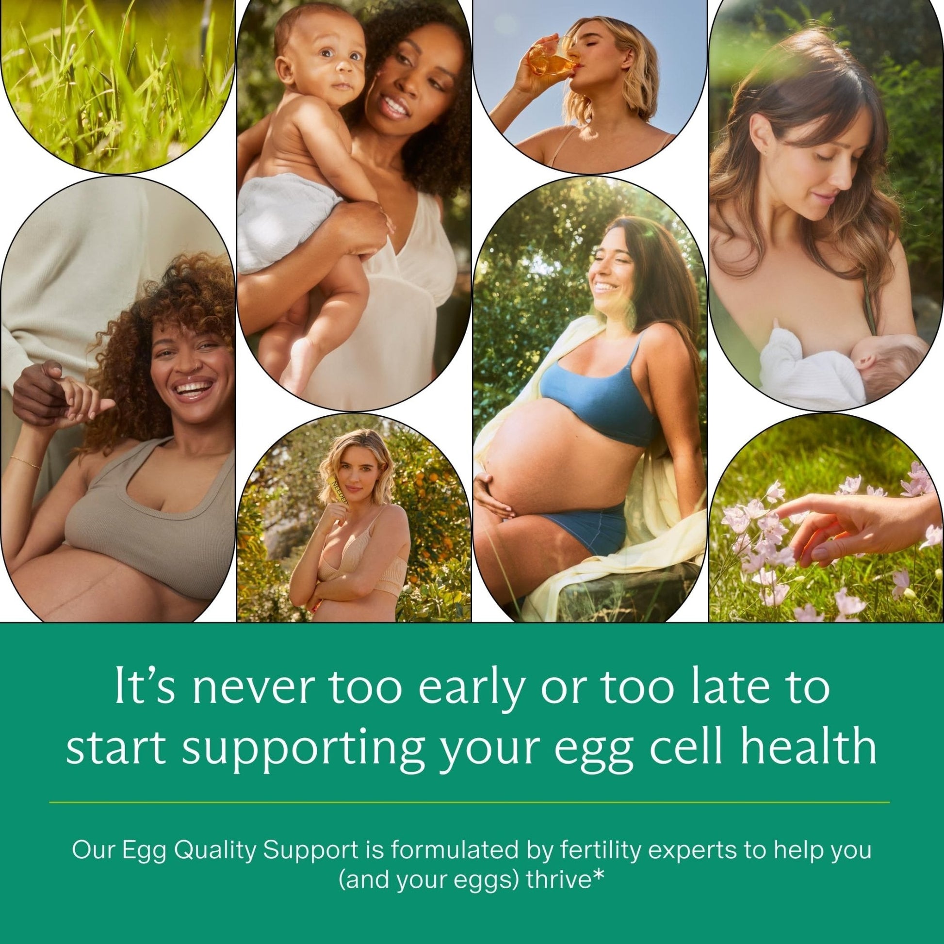 Needed. Egg Quality Support - Optimally Formulated Antioxidants Supplement for Egg Quality - Fertility Support - Fertility Supplement for Women - Maple Wellness Supplements