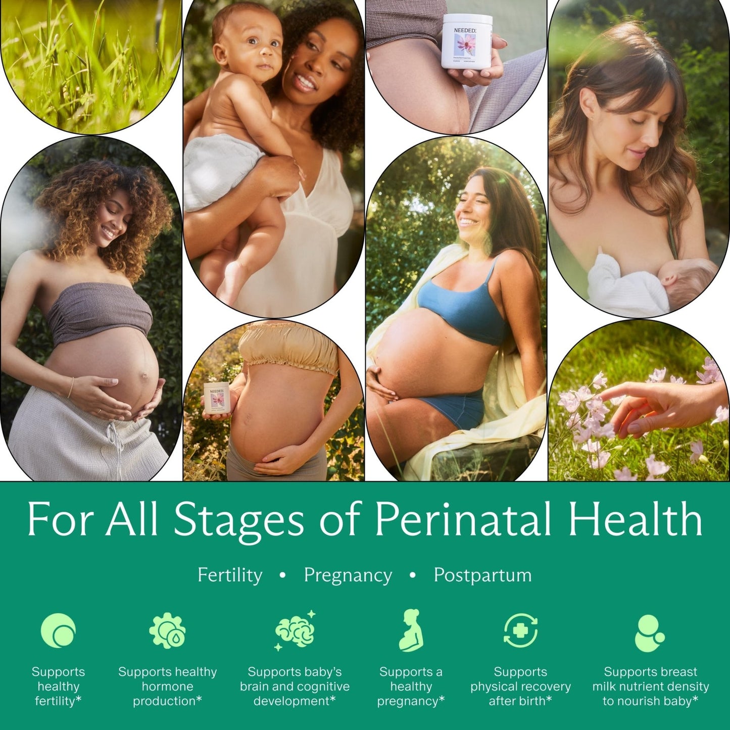 Needed. Multivitamin for Prenatal | Prenatal Multi Essentials Capsule - Pregnancy, Breastfeeding, Postpartum | Expertly-Formulated - Maple Wellness Supplements