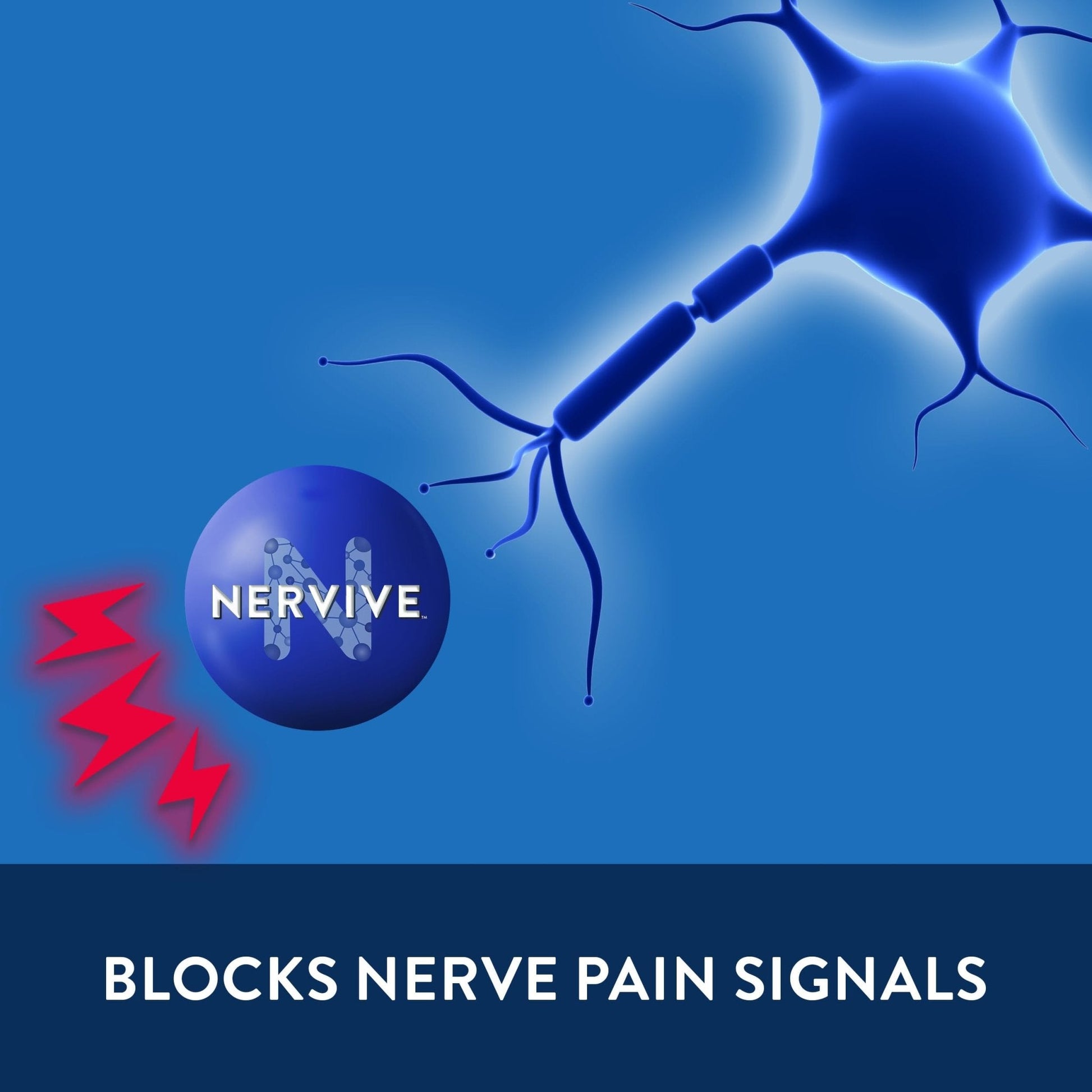 Nervive Pain Relieving Spray, Lidocaine Spray, Nervive Pain Relief, Lidocaine Topical, Foot Pain, Leg Pain, Hand Pain, Max Strength Formula, for Hard to Reach Areas, 4.5oz - Maple Wellness Supplements