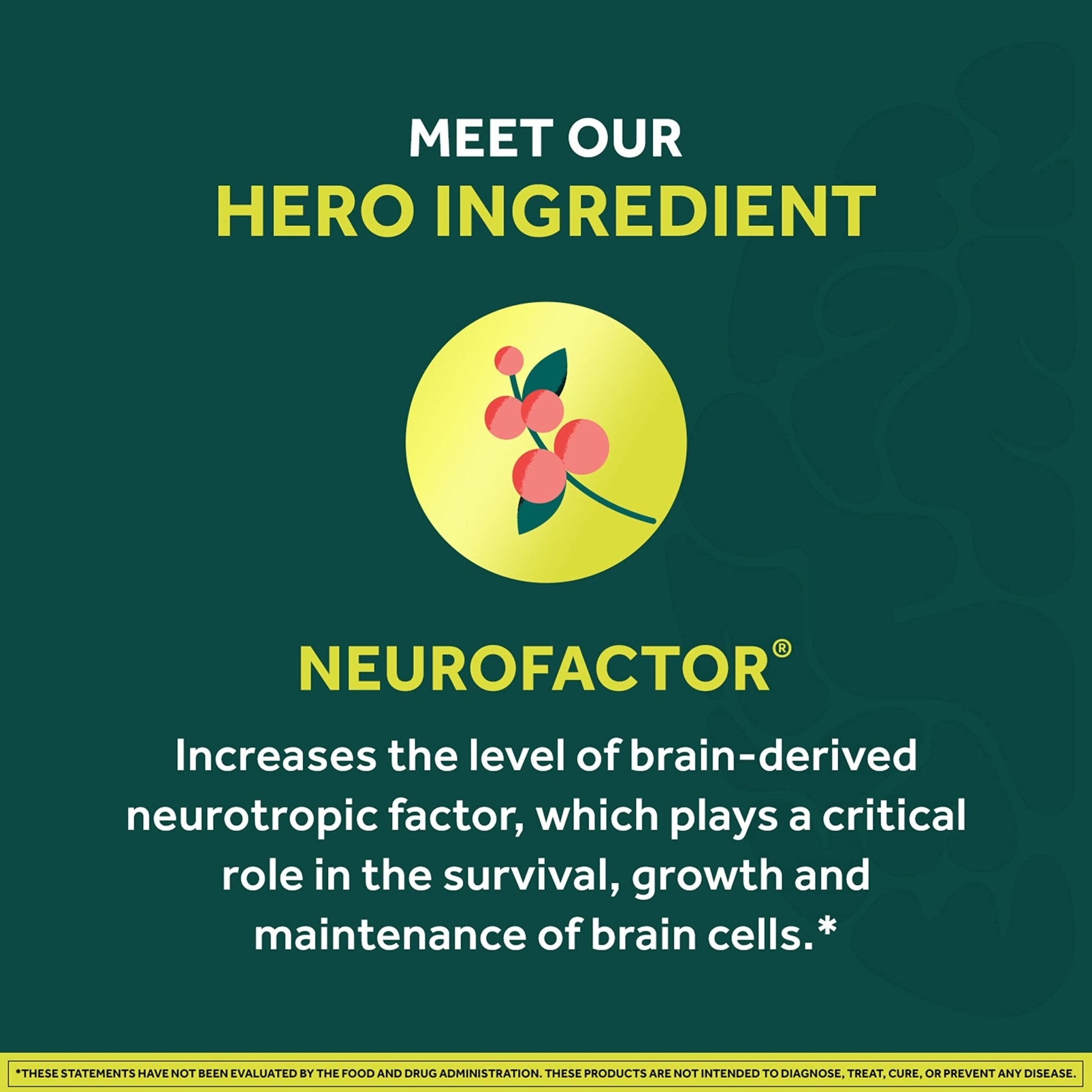 NEURIVA Brain + Energy Gummies, Nootropic Brain Supplements for Focus and Concentration with Neurofactor, Vitamin B12 & Caffeine for an Energy Boost*, 75ct Natural BlackBerry - Maple Wellness Supplements