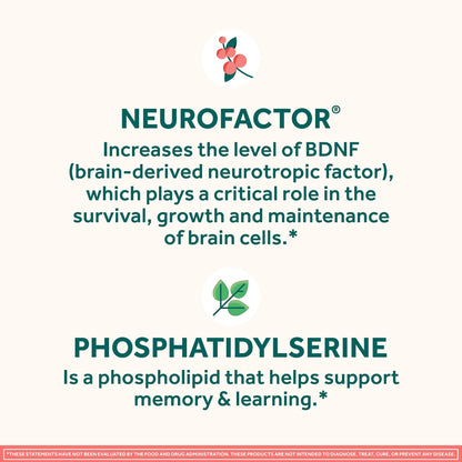 NEURIVA Original Brain Supplement for Memory, Focus & Concentration + Learning & Accuracy with Clinically Tested Nootropics Phosphatidylserine and Neurofactor, Strawberry Flavor, 50 Gummies - Maple Wellness Supplements