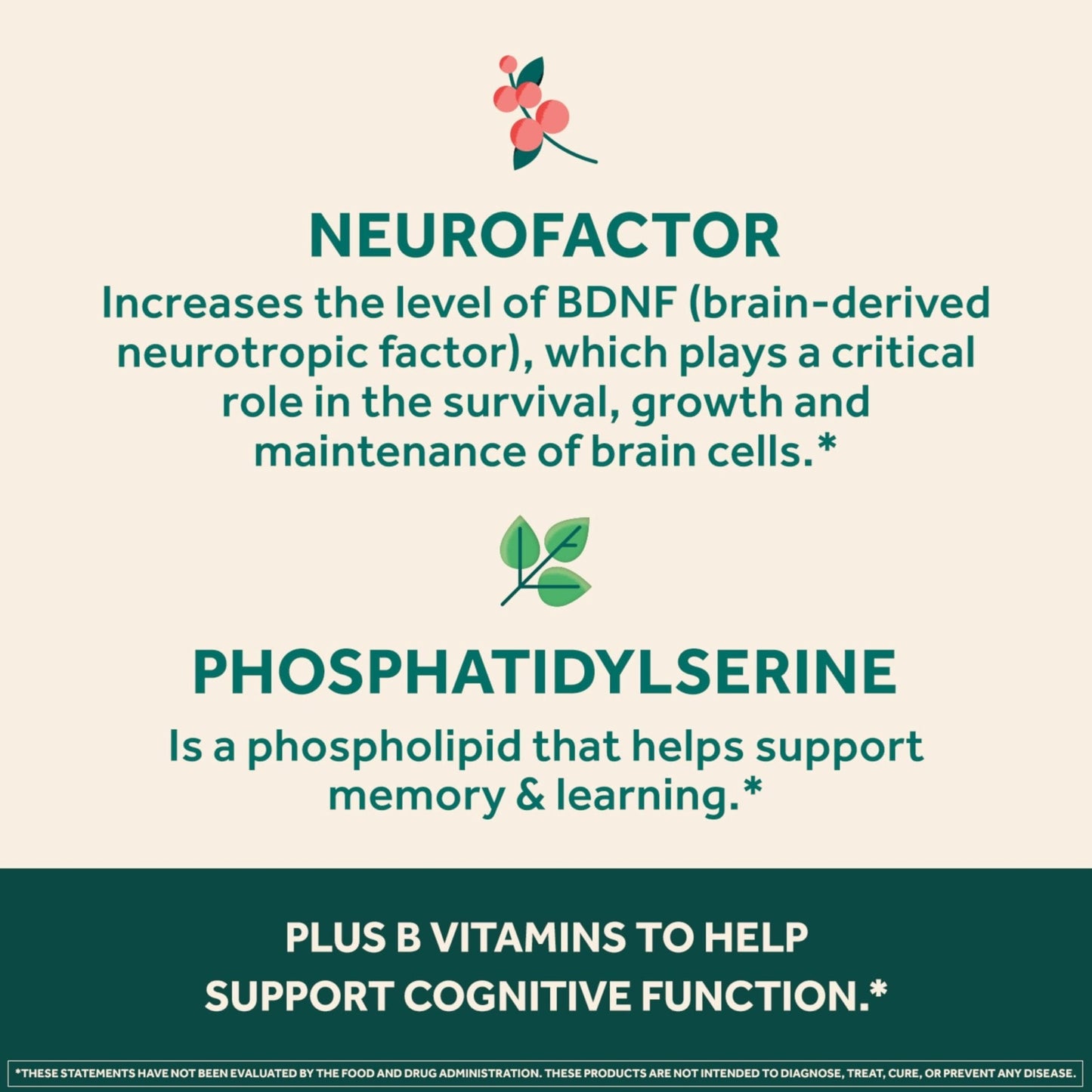 NEURIVA Ultra Decaffeinated Clinically Tested Supplement for Mental Alertness, Memory, Focus & Concentration, Cognivive, Neurofactor - Maple Wellness Supplements