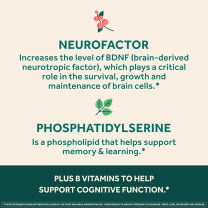 NEURIVA Ultra Decaffeinated Clinically Tested Supplement for Mental Alertness, Memory, Focus & Concentration, Cognivive, Neurofactor - Maple Wellness Supplements