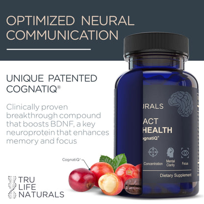 NEUROACT Brain Health Memory, Focus, Concentration, Mental Clarity with CognatiQ, Vitamin B3 & B6 | Manage Stress & Elevate Mood | Holistic Brain Health Formula, Sustained Energy & Well Being - Maple Wellness Supplements