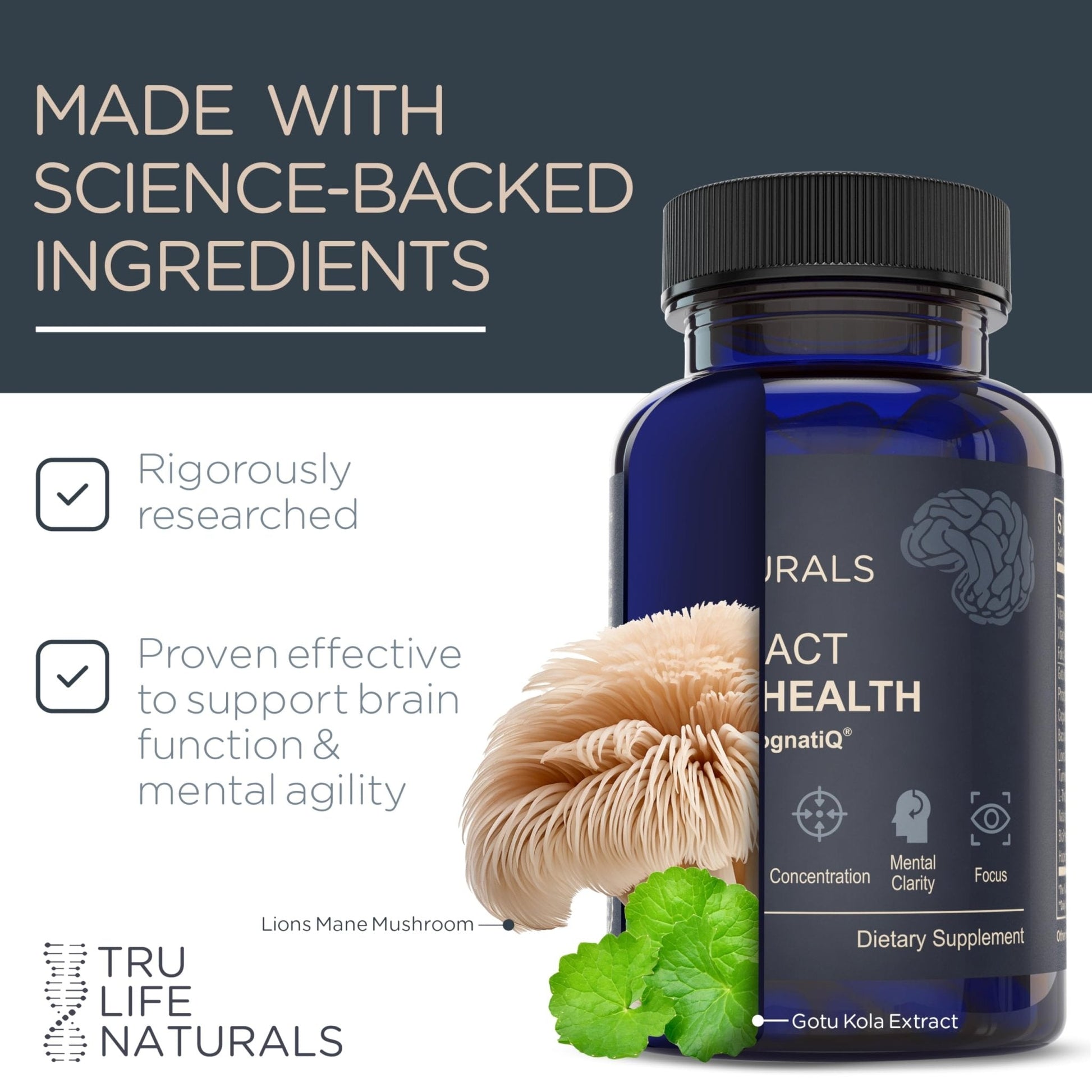 NEUROACT Brain Health Memory, Focus, Concentration, Mental Clarity with CognatiQ, Vitamin B3 & B6 | Manage Stress & Elevate Mood | Holistic Brain Health Formula, Sustained Energy & Well Being - Maple Wellness Supplements