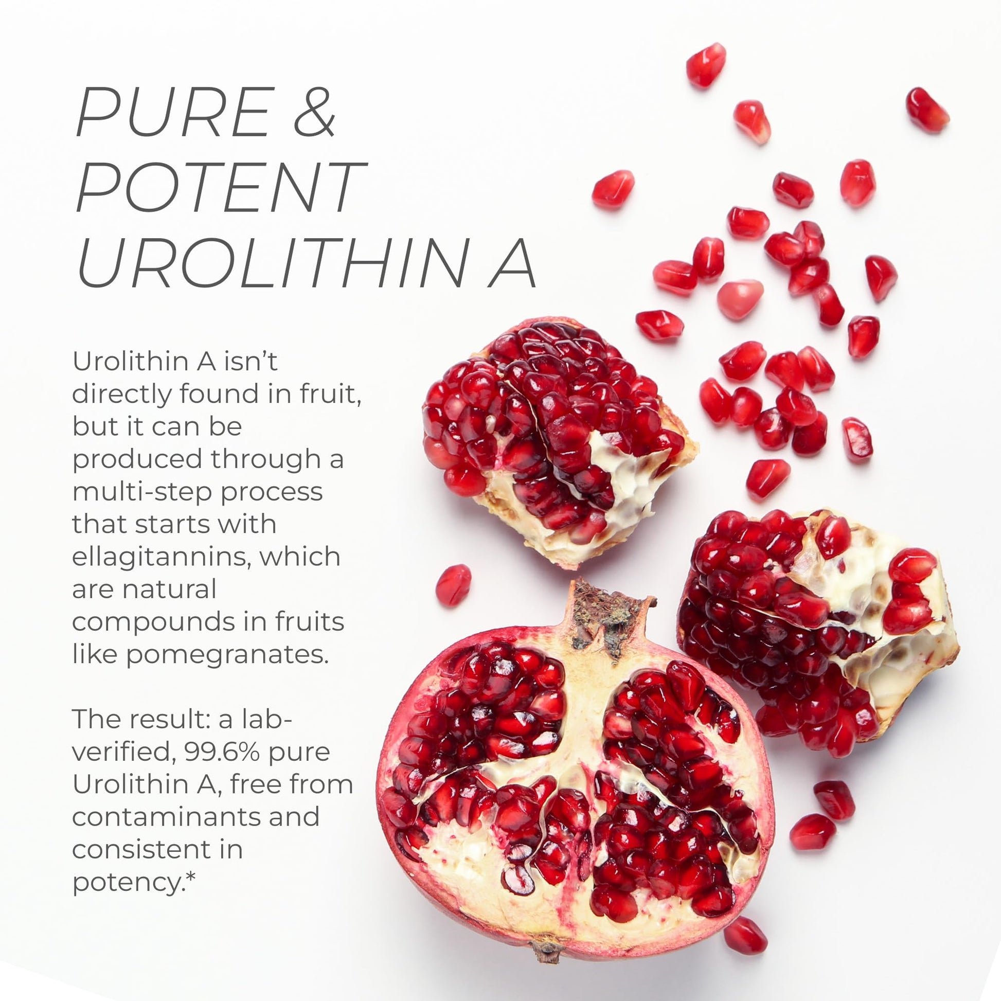 Neurogan Urolithin A PRO Capsules - 1000mg, 120 Ct - Advanced Cellular Health, Post Biotic Supplements - Ultra Micronized Urolithin A Supplement, Sourced from Pomegranate Extract - Maple Wellness Supplements