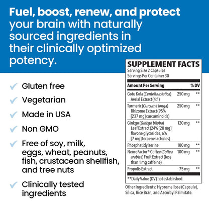 NeuroQ Memory & Focus - Boosts Cognitive Performance & Healthy Brain Function - Neuroprotective Formula by Dr. Dale Bredesen - Gotu Kola Ginkgo Phosphatidylserine Coffee Fruit & Propolis - 60 Capsules - Maple Wellness Supplements