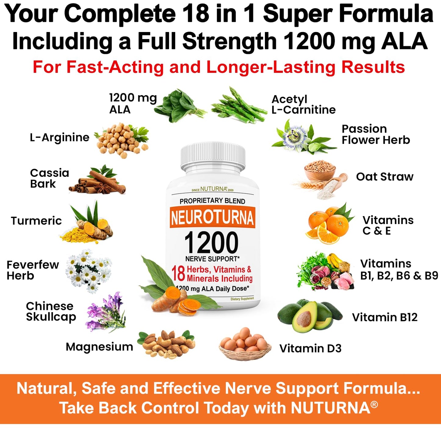 Neuroturna Support Supplement with 1200 mg Pure Alpha Lipoic Acid - Maximum Strength Formula with ALA + Vitamins + Minerals + Herbs - Best Natural Support - 180 Capsules - Maple Wellness Supplements