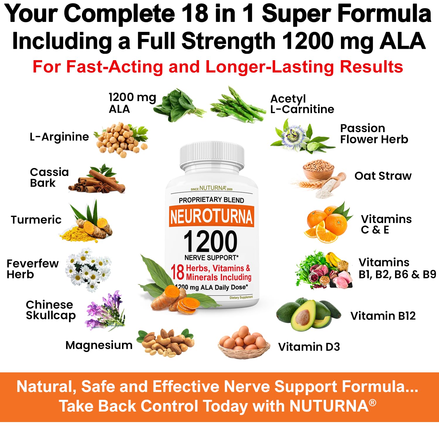 Neuroturna Support Supplement with 1200 mg Pure Alpha Lipoic Acid - Maximum Strength Formula with ALA + Vitamins + Minerals + Herbs - Best Natural Support - 180 Capsules - Maple Wellness Supplements