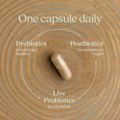 New Chapter All-Flora Probiotic for Advanced Digestion & Complete Gut Health with Prebiotics + Postbiotics, Clinical-Strength Strains, 100% Vegetarian, Non-GMO, Shelf Stable - 60 ct (2 Month Supply) - Maple Wellness Supplements