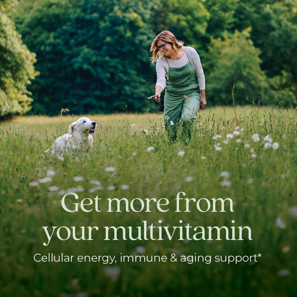 New Chapter Women’s Multivitamin 40+, extra B6 & B12, Biotin for Hair Growth, D3, Vit C, Zinc for Immune & Stress Support, Gentle on an Empty Stomach - Maple Wellness Supplements