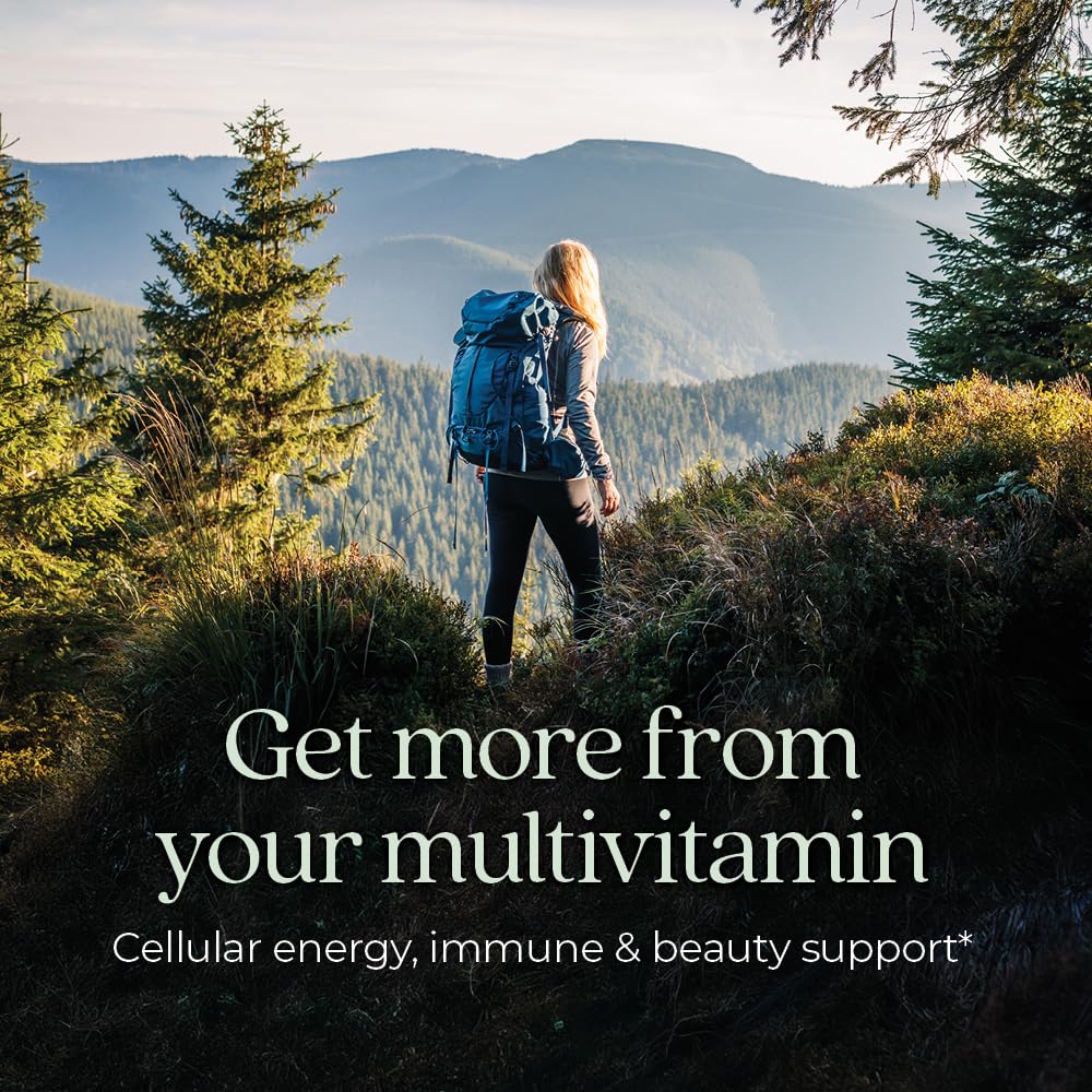 New Chapter Women’s Multivitamin, Iron, B6, B12, Biotin for Hair Growth, D3, Vit C, Zinc for Immune & Stress Support, Gentle on an Empty Stomach, One Daily, Non-GMO, Gluten-Free, 18+, 72 Tablets - Maple Wellness Supplements
