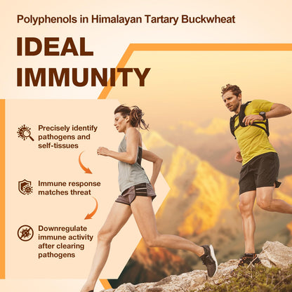 Nokuba Polyphenols Supplement for Immune Support | Himalayan Tartary Buckwheat Sourced | Polyphenol Superfood with Quercetin, Curcumin | Immune Booster, Antioxidant, Anti-inflammatory - 120 Capsules - Maple Wellness Supplements