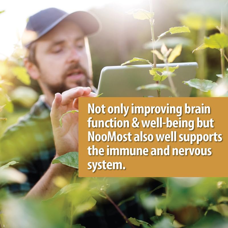 NooMost Organic Lions Mane Supplement Capsules 5400mg, Ginkgo Biloba 120mg - Maple Wellness Supplements