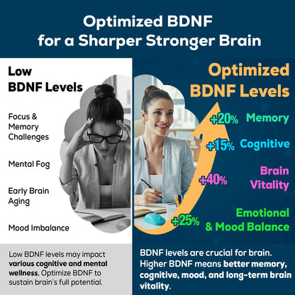 Nootropic Brain Supplement for Memory and Focus – BDNF Optimizer – Cognitive, Mental Clarity & Mood – High Absorption – Organic Lion's Mane, L-Theanine, Ginkgo Biloba & Alpha GPC – 60 Tablets - Maple Wellness Supplements