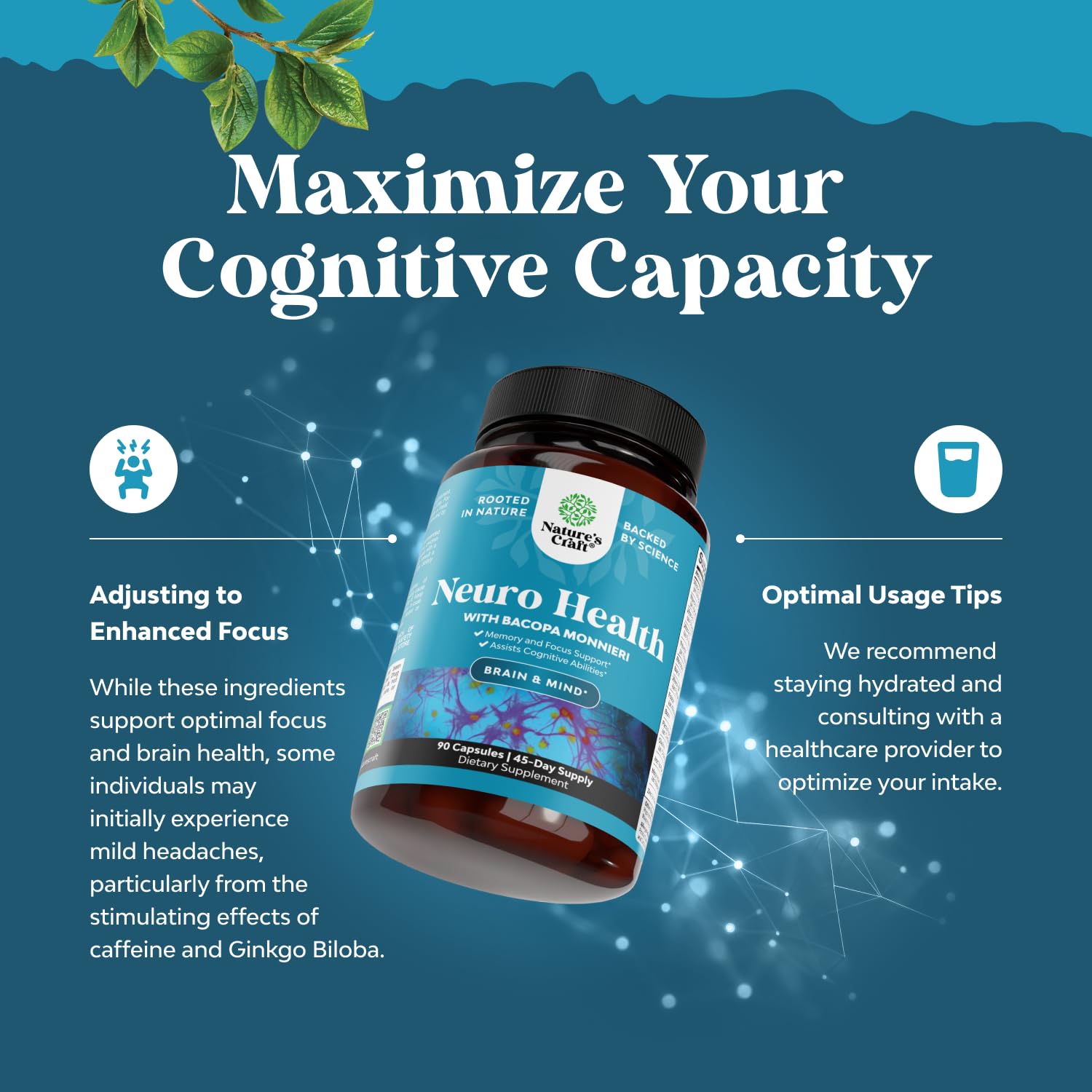 Nootropic Brain Supplement for Memory and Focus Support - Vitamins for Mental Support & Clarity with Bacopa Monnieri, VIT A, B6, Riboflavin, Niacin - Maple Wellness Supplements