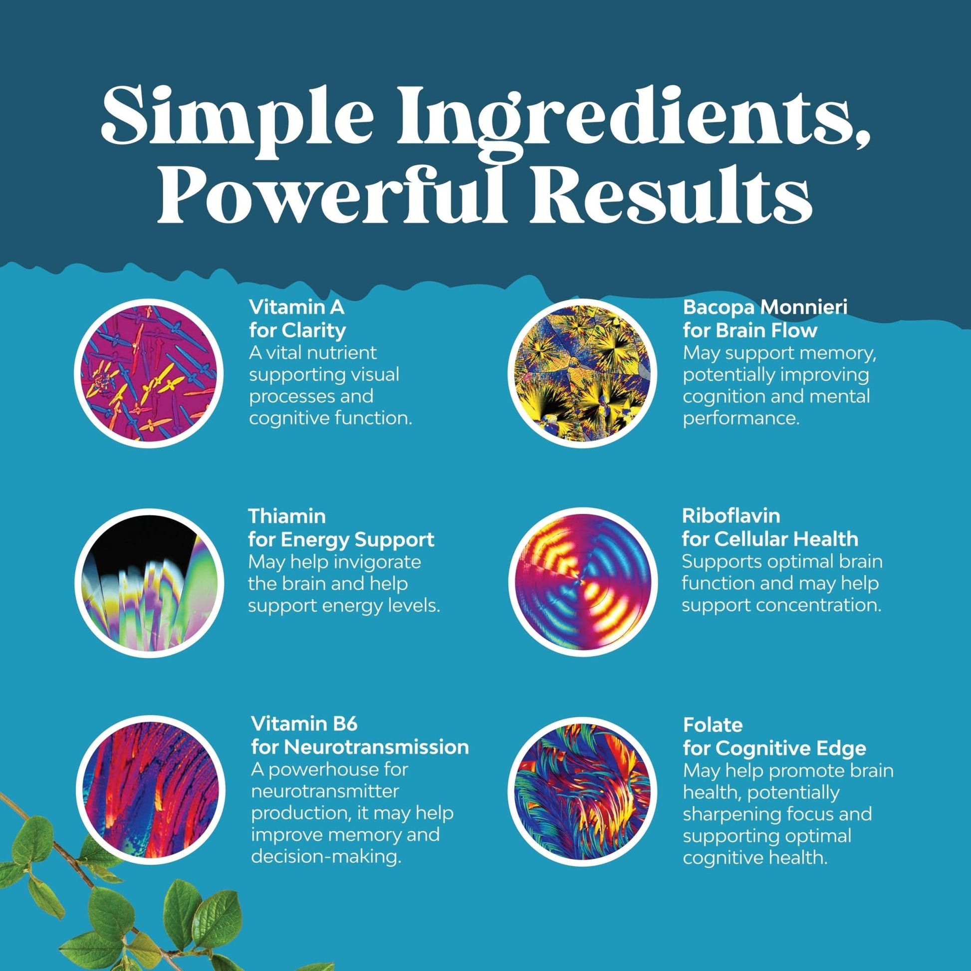 Nootropic Brain Supplement for Memory and Focus Support - Vitamins for Mental Support & Clarity with Bacopa Monnieri, VIT A, B6, Riboflavin, Niacin, Thiamin & Folate - Maple Wellness Supplements