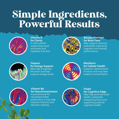 Nootropic Brain Supplement for Memory and Focus Support - Vitamins for Mental Support & Clarity with Bacopa Monnieri, VIT A, B6, Riboflavin, Niacin, Thiamin & Folate - Maple Wellness Supplements