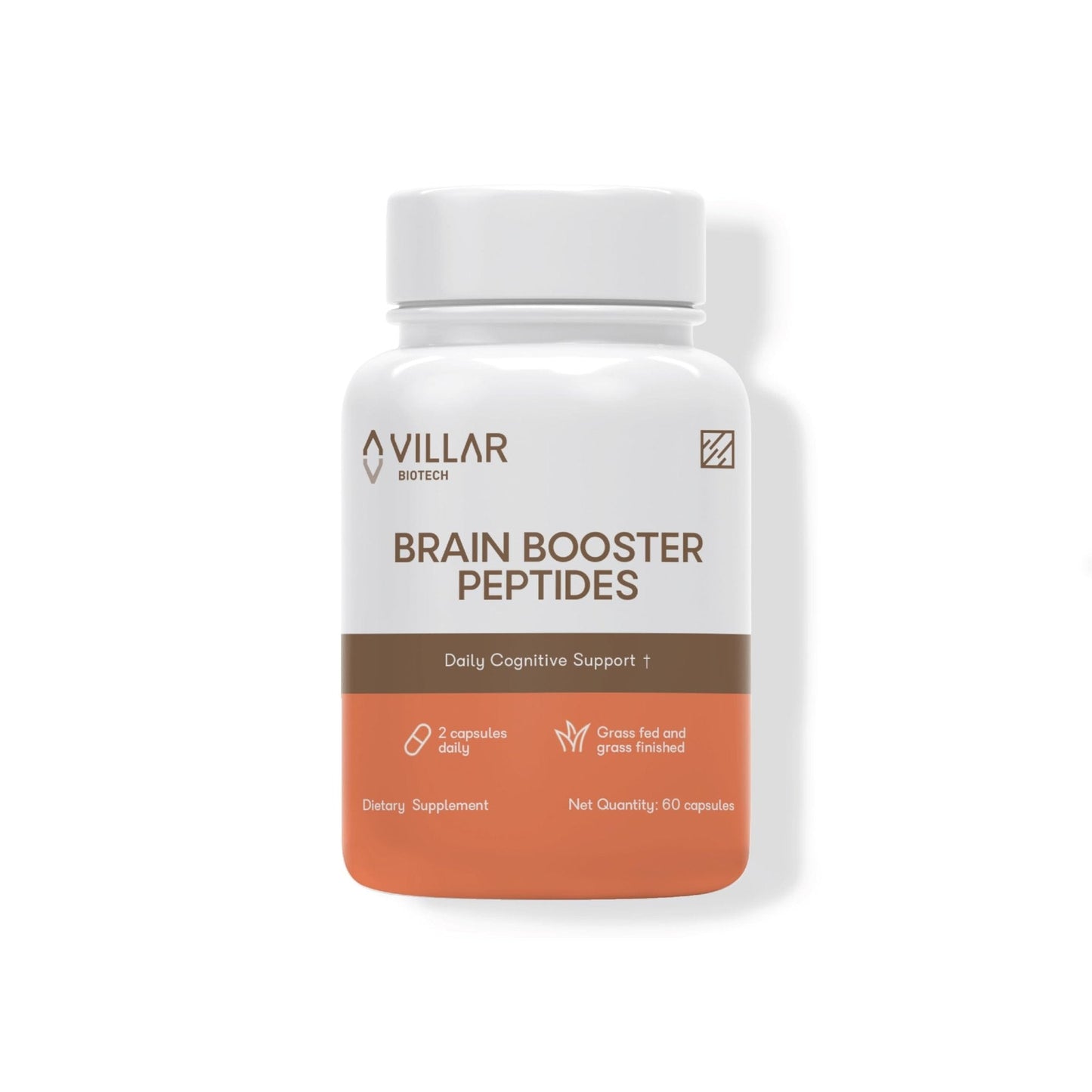 Nootropic Brain Supplement – Grass-Fed Bovine Brain Peptides for Focus, Memory & Mental Clarity – Ancestral Cognitive Support – Argentine Pasture-Raised, Non-GMO – 60 Capsules - Maple Wellness Supplements
