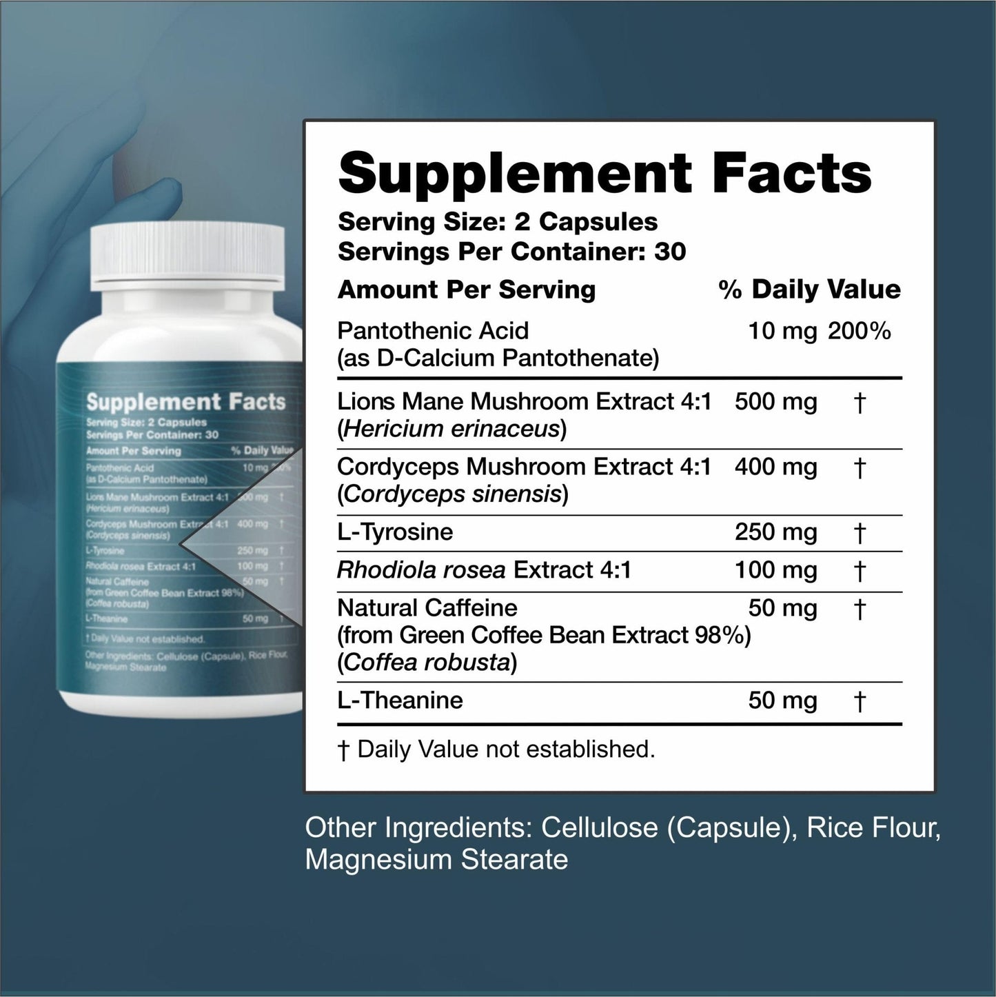 Nootropic Brain Supplement with Lion’s Mane Mushroom, Cordyceps & Rhodiola Rosea Extract - Focus and Energy Supplement, Adaptogen for Brain Health, Mental Clarity, Memory & Mood Support - 60 Capsules - Maple Wellness Supplements