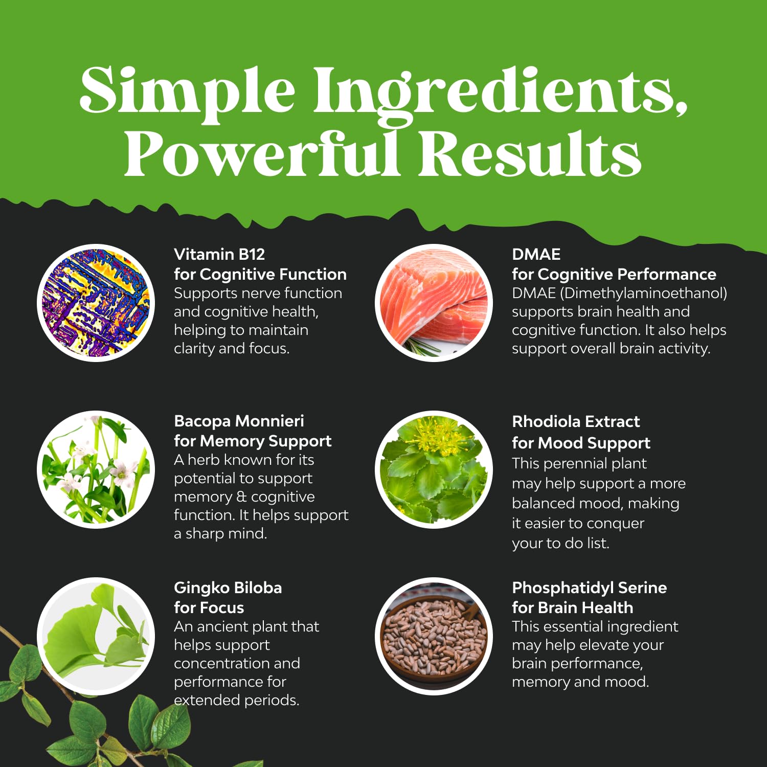 Nootropic Memory Supplement for Brain Support - Memory Pills for Brain Boost and Natural Energy Booster - Vitamin B 12 Bacopa Monnieri Rhodiola Rosea DMAE Ginkgo Biloba Phosphatidylserine Supplement - Maple Wellness Supplements