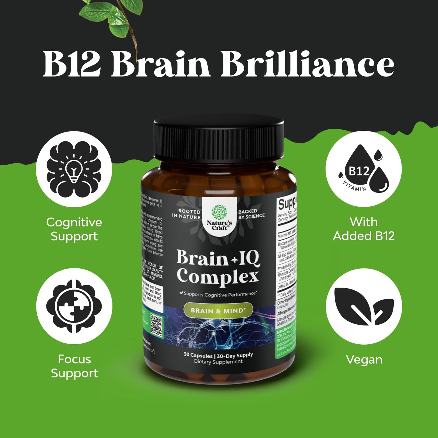 Nootropic Memory Supplement for Brain Support - Memory Pills for Brain Boost and Natural Energy Booster - Vitamin B 12 Bacopa Monnieri Rhodiola Rosea DMAE Ginkgo Biloba Phosphatidylserine Supplement - Maple Wellness Supplements