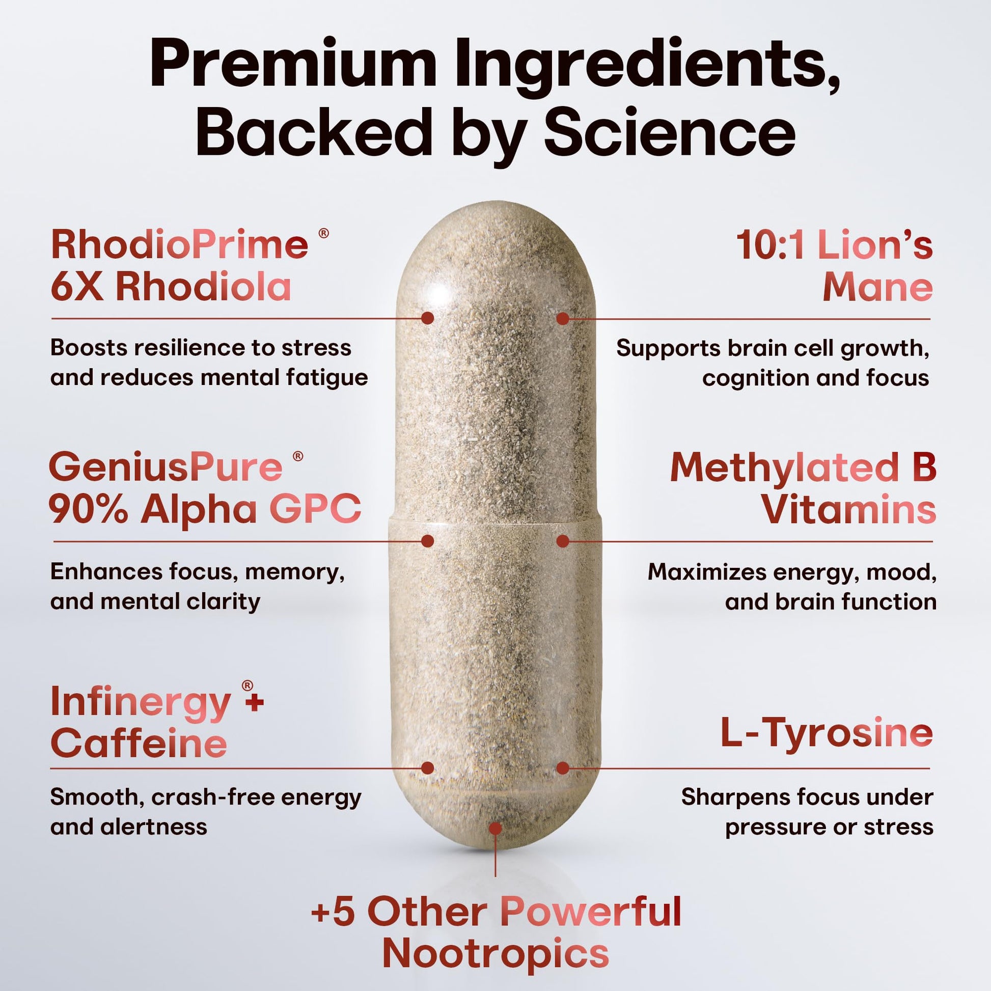 Nootropic Strongest Focus Supplement - Clinically Backed Ingredients Made in USA - Scientifically Backed Doses - Supplement for Brain Fog - AlphaGPC, Lions Mane, Rhodiola and More 10:1 90 Capsules - Maple Wellness Supplements