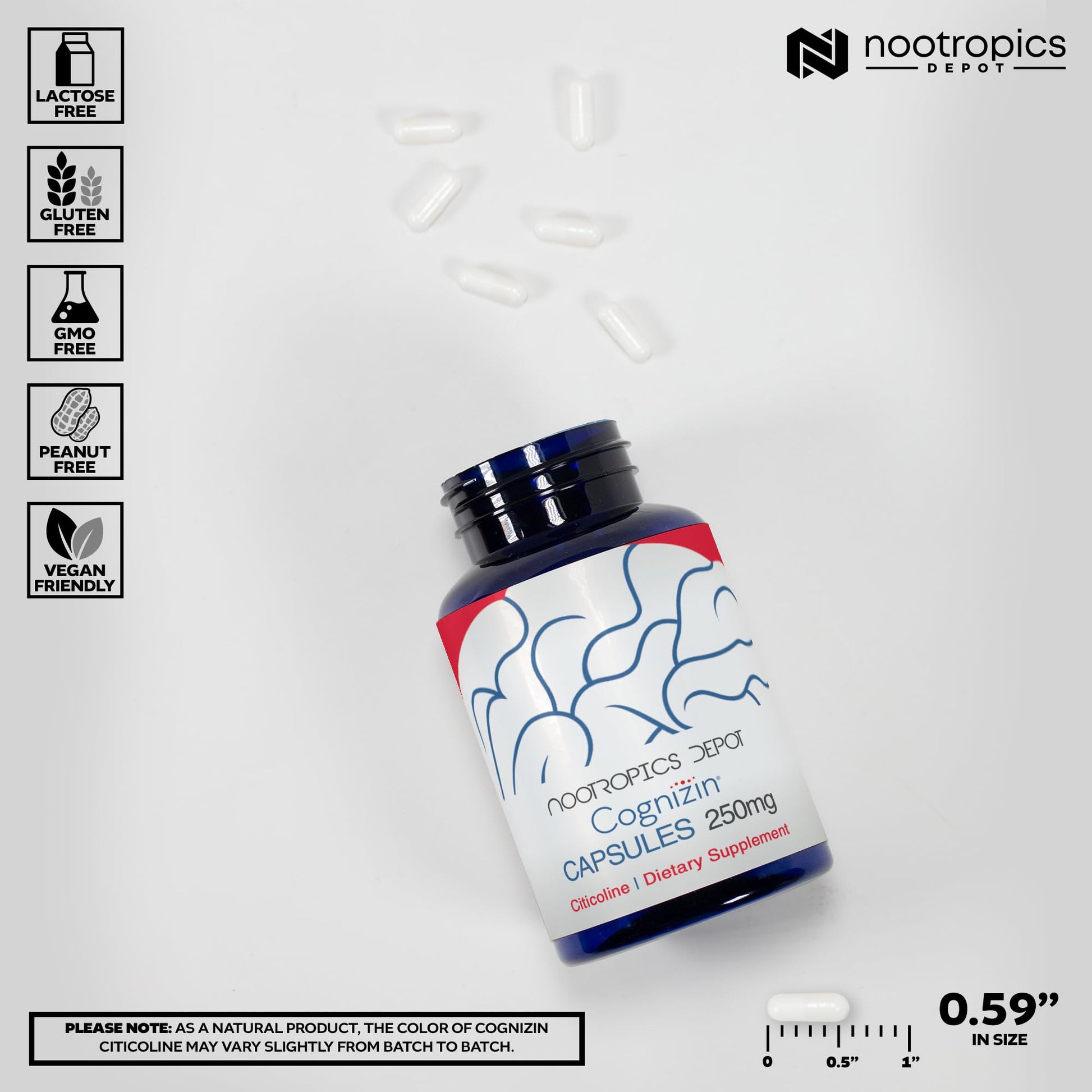 Nootropics Depot Cognizin Citicoline Capsules | 60 Count | Choline Supplement | Brain Health Supplement | Regulates Memory and Cognitive Function | Supports Attention, Focus and Recall - Maple Wellness Supplements
