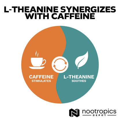 Nootropics Depot L-Theanine Capsules 200mg (180 Count) | Promotes Relaxation | Supports Healthy Stress Levels + Sleep Cycles | Promotes Cognitive Function + Focus | Amino Acid Supplement - Maple Wellness Supplements