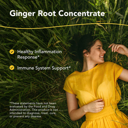 NORTH AMERICAN HERB & SPICE Inflam-eeZ - 90 Capsules - Supports Healthy Immune & Inflammatory Response - Ginger Root, Camu Camu Berries, Bromelain & Papain Plus - Non-GMO - 45 Total Servings - Maple Wellness Supplements