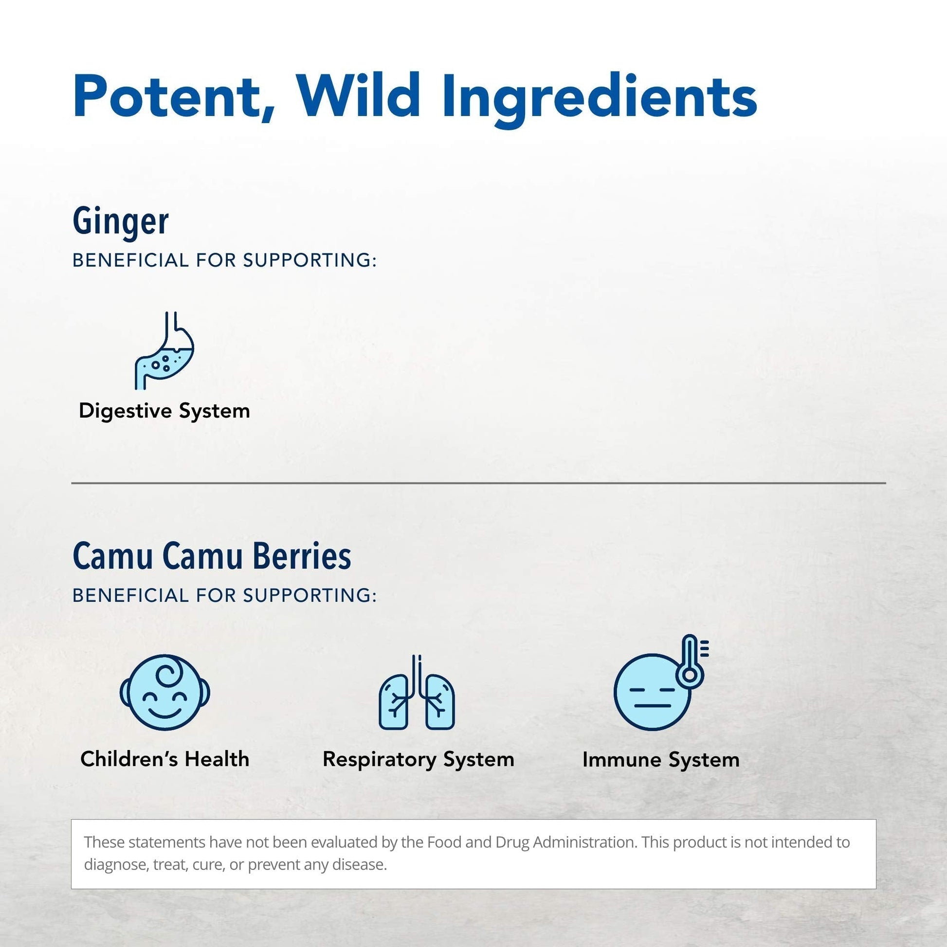 NORTH AMERICAN HERB & SPICE Inflam-eeZ - 90 Capsules - Supports Healthy Immune & Inflammatory Response - Ginger Root, Camu Camu Berries, Bromelain & Papain Plus - Non-GMO - 45 Total Servings - Maple Wellness Supplements