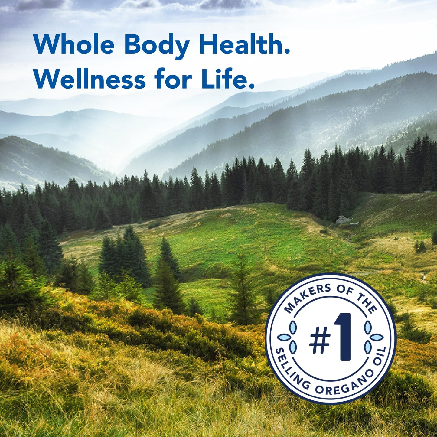 NORTH AMERICAN HERB & SPICE Oreganol - 1 fl. oz. - Unprocessed, Wild, Organic Oregano Oil - Maple Wellness Supplements