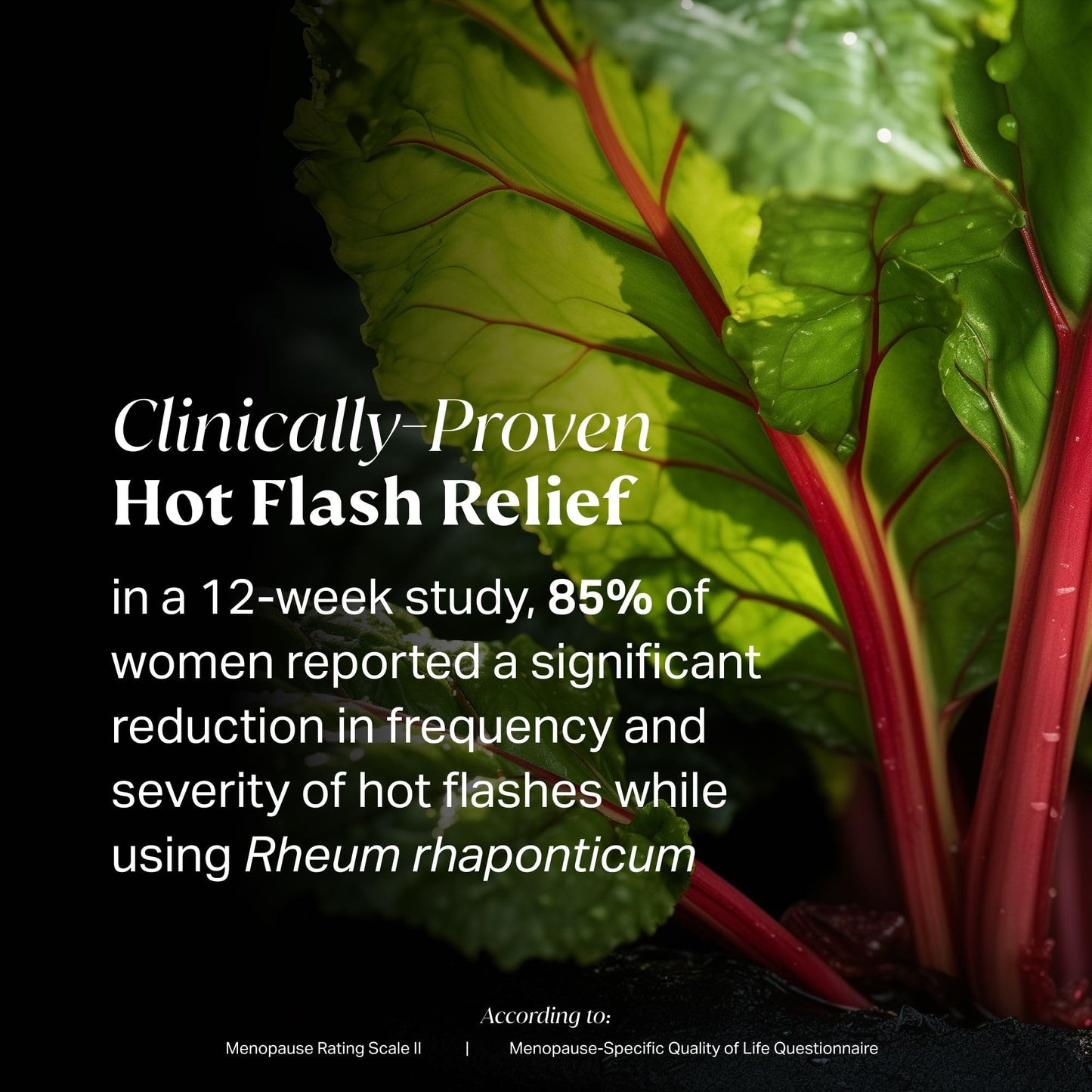 NOVAMD Clinically Proven Menopause Supplement for Weight Management, Hot Flashes, Night Sweats and Low Energy - Maple Wellness Supplements