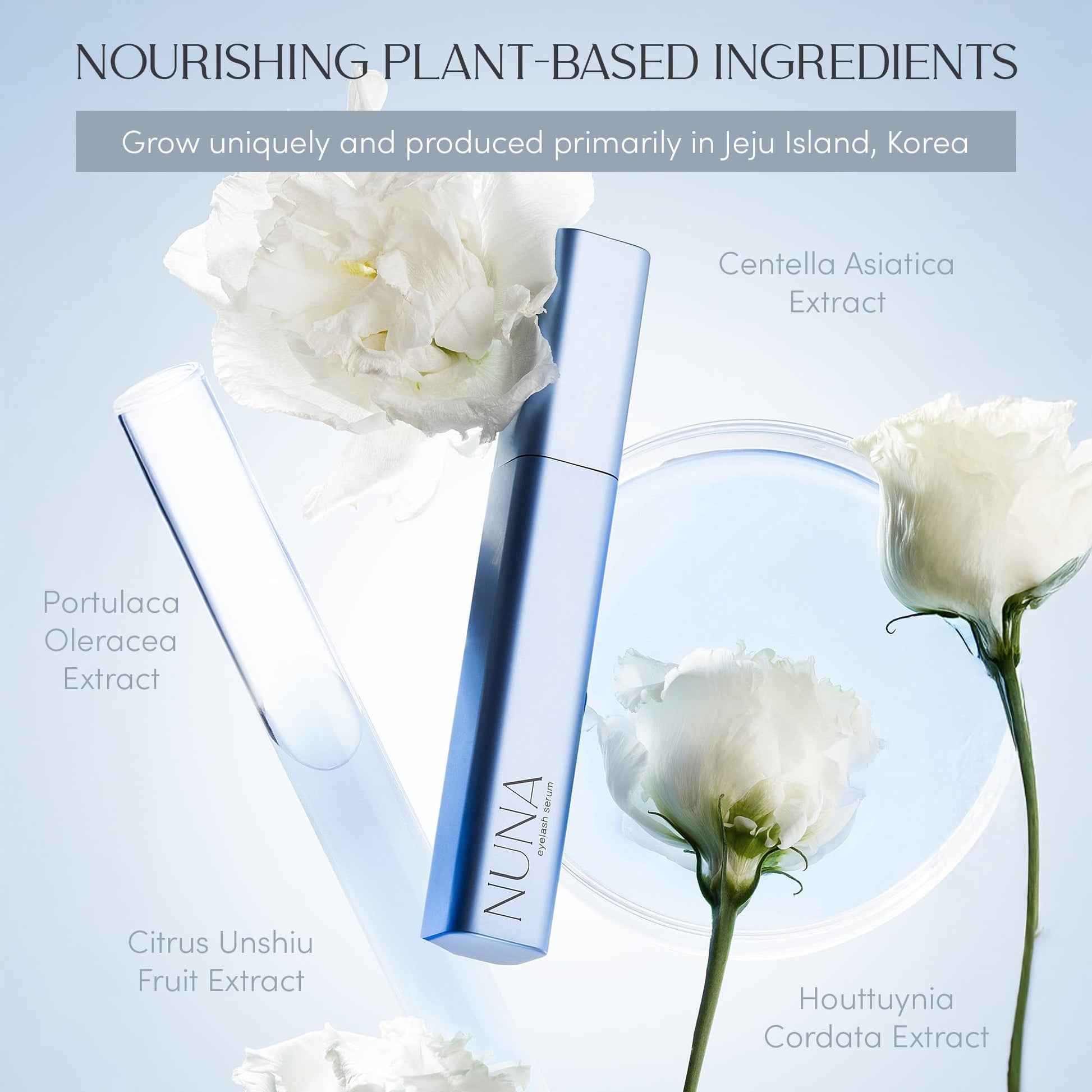 NUNA Eyelash Growth Support Serum 6ml – Eye Lash and Eyebrow Enhancing Serum for Women & Men with Biotin - Korean Multi Peptide & Natural Extracts - Maple Wellness Supplements