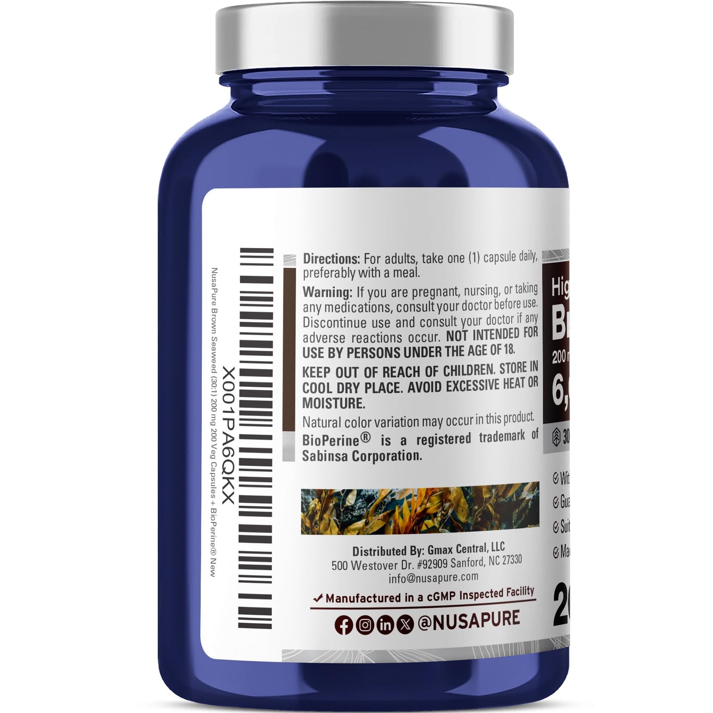 NusaPure Brown Seaweed 30:1 Extract, 200 mg Equivalent to 6,000 mg 200 Veggie Capsules - (Vegan, Non-GMO Bioperine) - Maple Wellness Supplements
