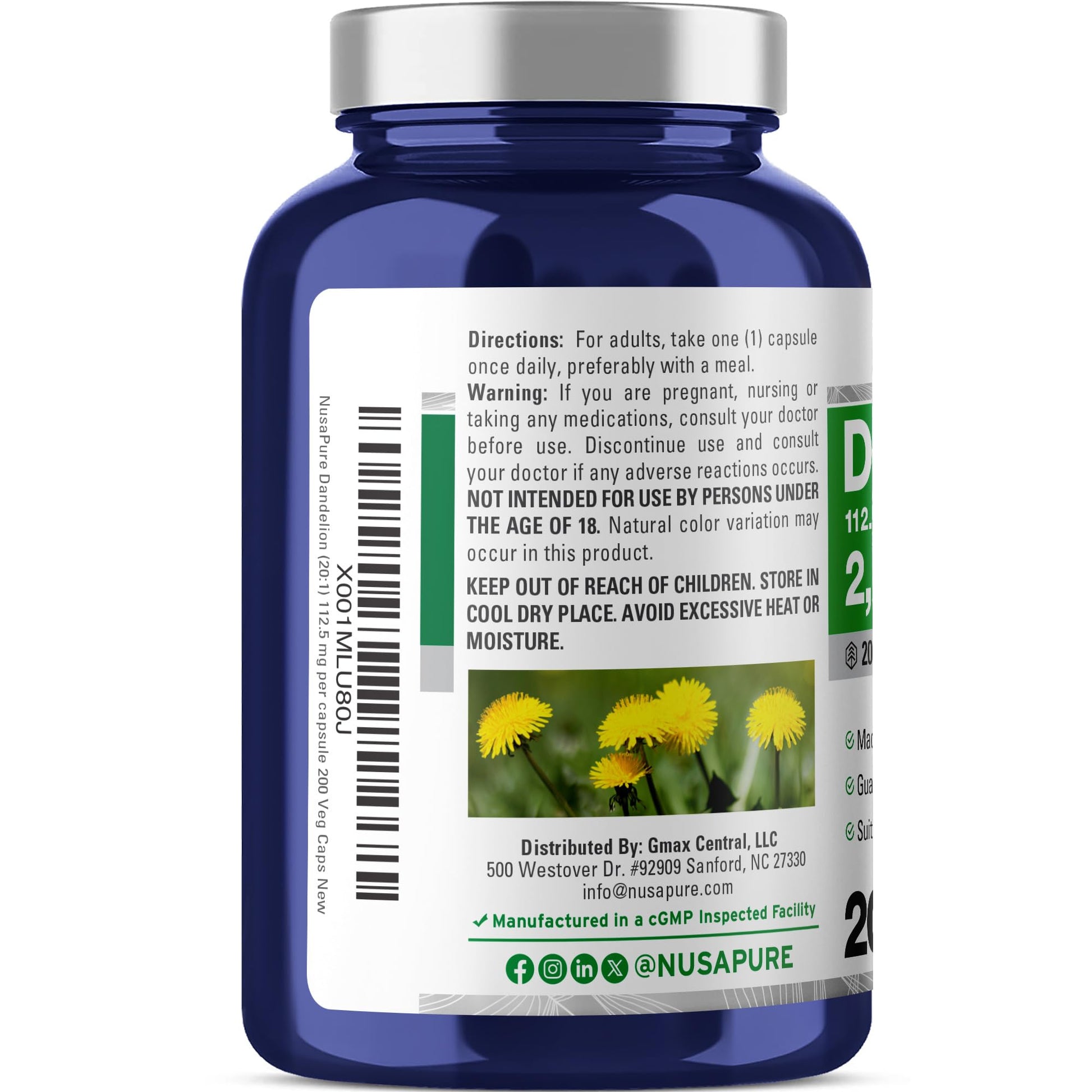 NusaPure Dandelion Root 20:1 Extract, 112.5 mg Equivalent to 2,250 mg 200 Veggie Capsules (Non-GMO, Vegan) - Maple Wellness Supplements