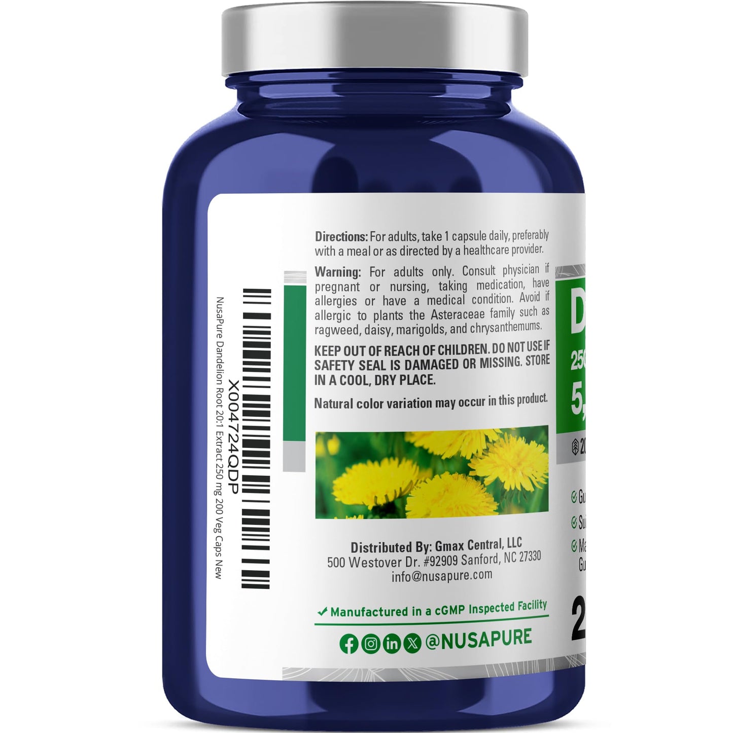 NusaPure Dandelion Root 20:1 Extract, 250 mg Equivalent to 5000mg 200 Veg Capsules (Vegan, Non-GMO) - Maple Wellness Supplements