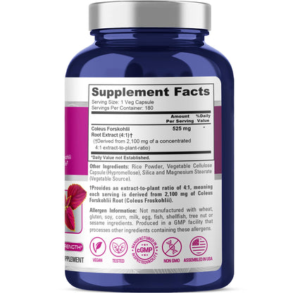 NusaPure Forskohlii 4:1 Extract, 525 mg Equivalent to 21,00 mgper Veggie Caps - 180 Capsules (Non-GMO, Vegan & Gluten Free) - Maple Wellness Supplements