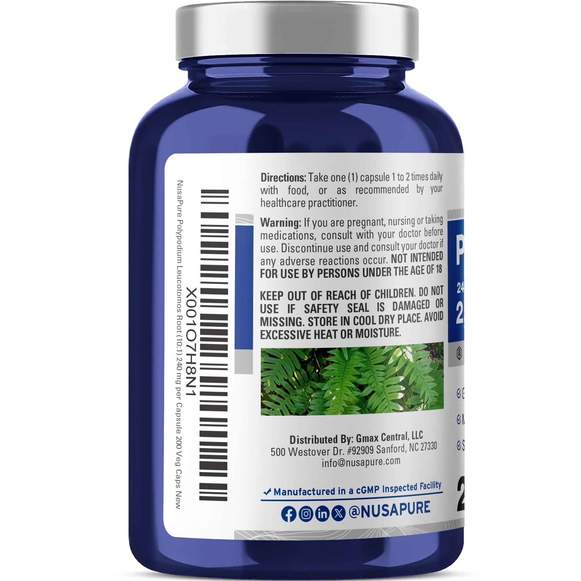 NusaPure Polypodium Leucotomos 10:1 Extract, 240 mg Equivalent to 2400mg 200 Veggie Capsules (Vegetarian, Non-GMO, Vegan) - Maple Wellness Supplements