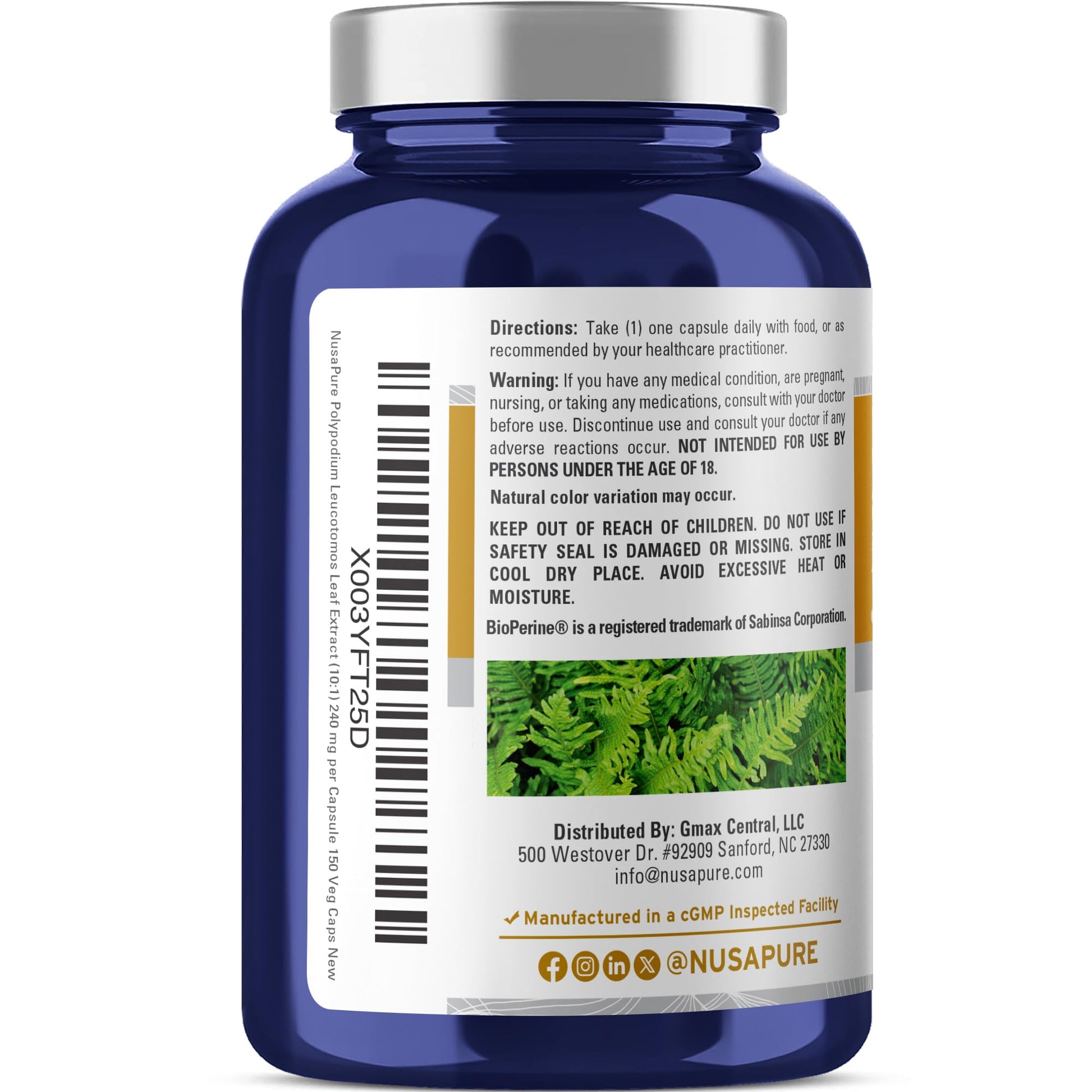 NusaPure Polypodium Nicotinamide 10:1 Extract, 240 mg Equivalent to 2,400 mg per Veg Caps - 150 Count (Non-GMO, Soyfree, Bioperine) - Maple Wellness Supplements