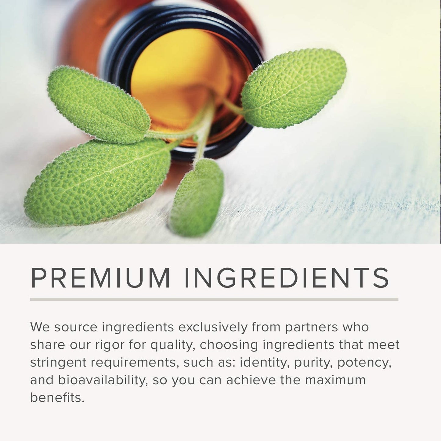 NusaPure Resveratrol & Polyphenol Complex 1450mg 180 Vegetarian Caps (Non-GMO, Vegan) Vitamin C - Maple Wellness Supplements
