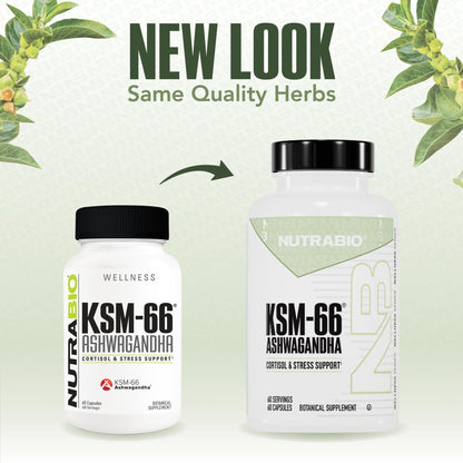 NutraBio Ashwagandha KSM-66 | Ashwagandha Herbal Supplement for Stress, Mood, & Performance | 600 MG of Clinically Studied KSM66 60 Capsules - Maple Wellness Supplements