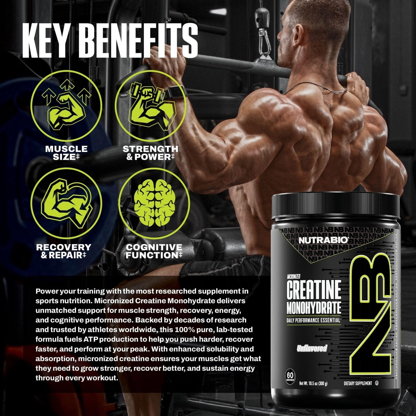 NutraBio Pure Micronized Creatine Monohydrate Powder Supplement, Unflavored, (300 g) - Supports Bulk Muscle Energy, Recovery, and Strength - HPLC Tested Creatine - Maple Wellness Supplements