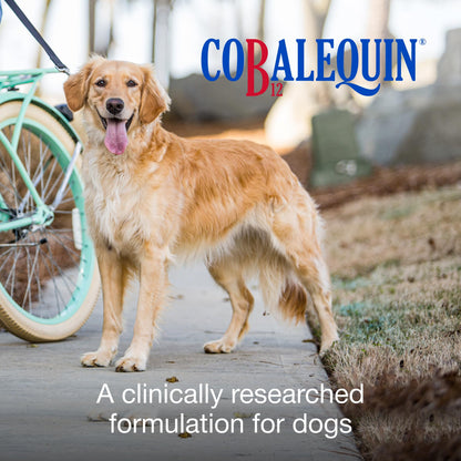 Nutramax Cobalequin B12 for Dogs, Oral Cobalamin Supplement with Folate, Vitamin B12 for Dogs Over 22 lbs., Supports GI Health, Chewable Tablets, 45 Count - Maple Wellness Supplements