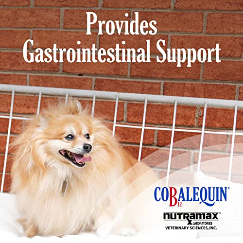 Nutramax Cobalequin B12 Supplement for Cats and Small Dogs, 45 Count (Pack of 1) - Maple Wellness Supplements